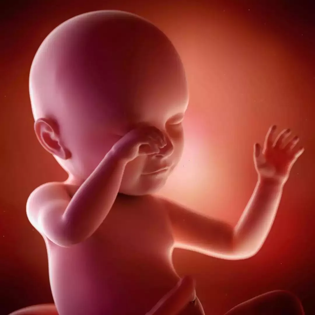 大排畸能查出所有的胎儿畸形吗？一次通过大排畸的经验分享给大家 - 知乎